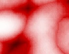 wissenschaft weiterbildung