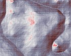 laboranalytik fortbildung
