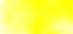 ausbildung floristin