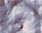bihler lehrgaenge