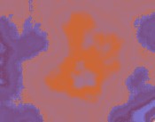 fernstudium test
