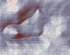lehrgaenge fingernagel
