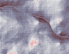 fernstudium berufsbegleitend