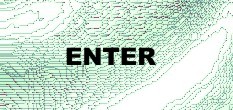 englisch fernstudium