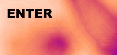 fernstudium master of