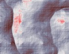 fernuniversitaet ernaehrungswissenschaft