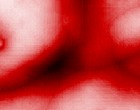 fortbildung com