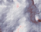 caritas fortbildung
