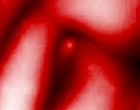foto paint fortbildung