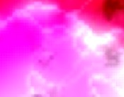 cme fortbildung