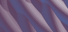 mathematik informatiker ii fernuniversitaet