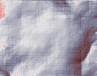 phaenomenologie fortbildung