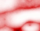 lehrgnge