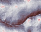 sap lehrgnge