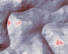 schriftlich lehrgaenge controlling
