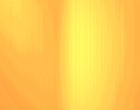 sap lehrgnge