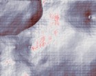 edv lehrgnge