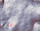 ausbildung photograph