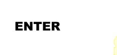 trainer ausbildung